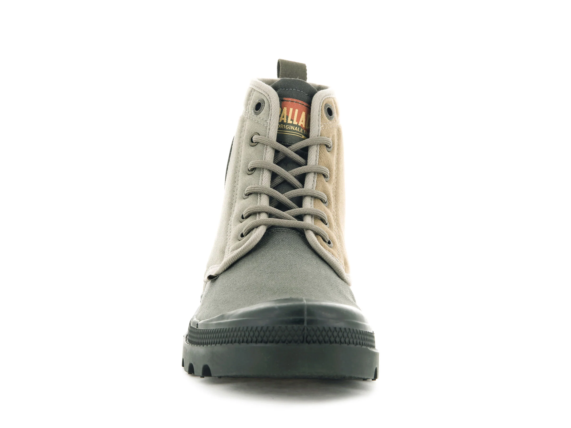 77953-325-M | PAMPA SHADE 75TH | OLIVE NIGHT - Image 3