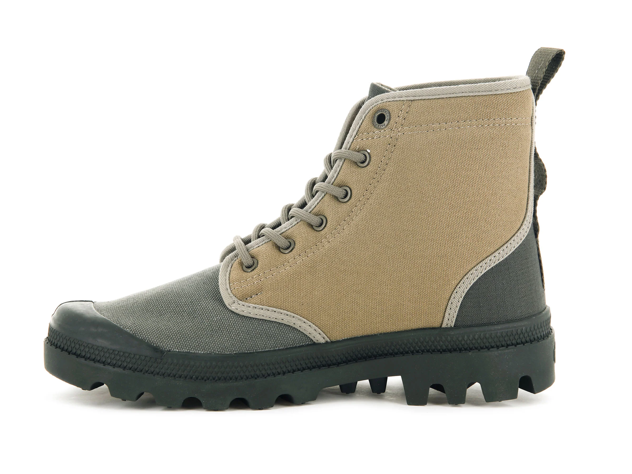 77953-325-M | PAMPA SHADE 75TH | OLIVE NIGHT - Image 4